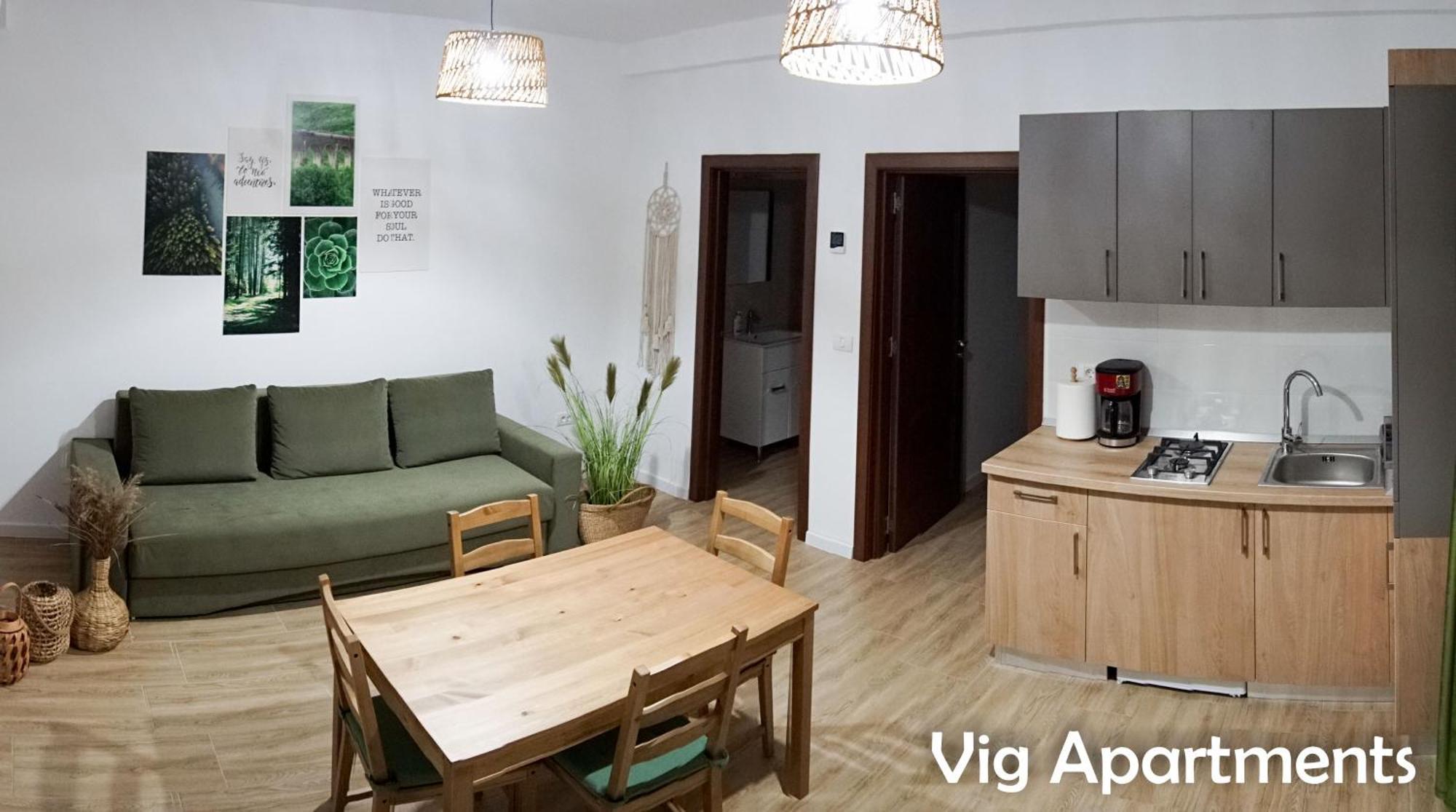 Vig Apartments Тімішоара Екстер'єр фото