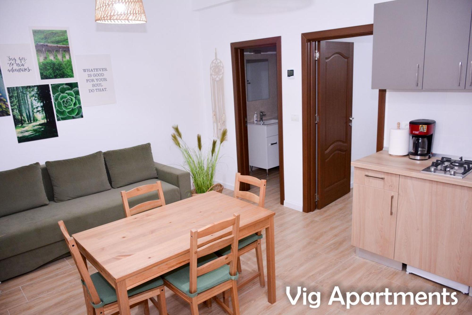 Vig Apartments Тімішоара Екстер'єр фото