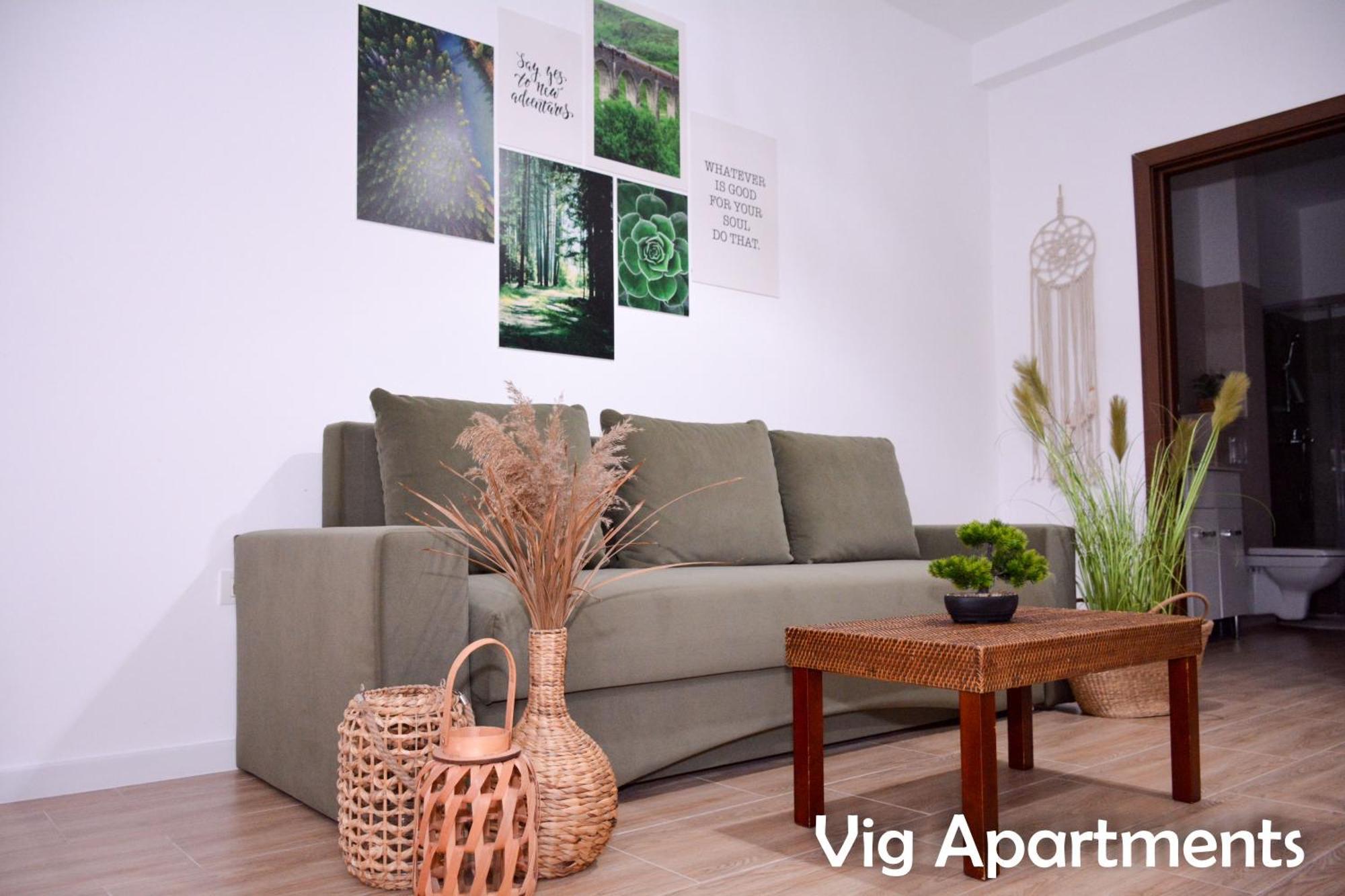 Vig Apartments Тімішоара Екстер'єр фото