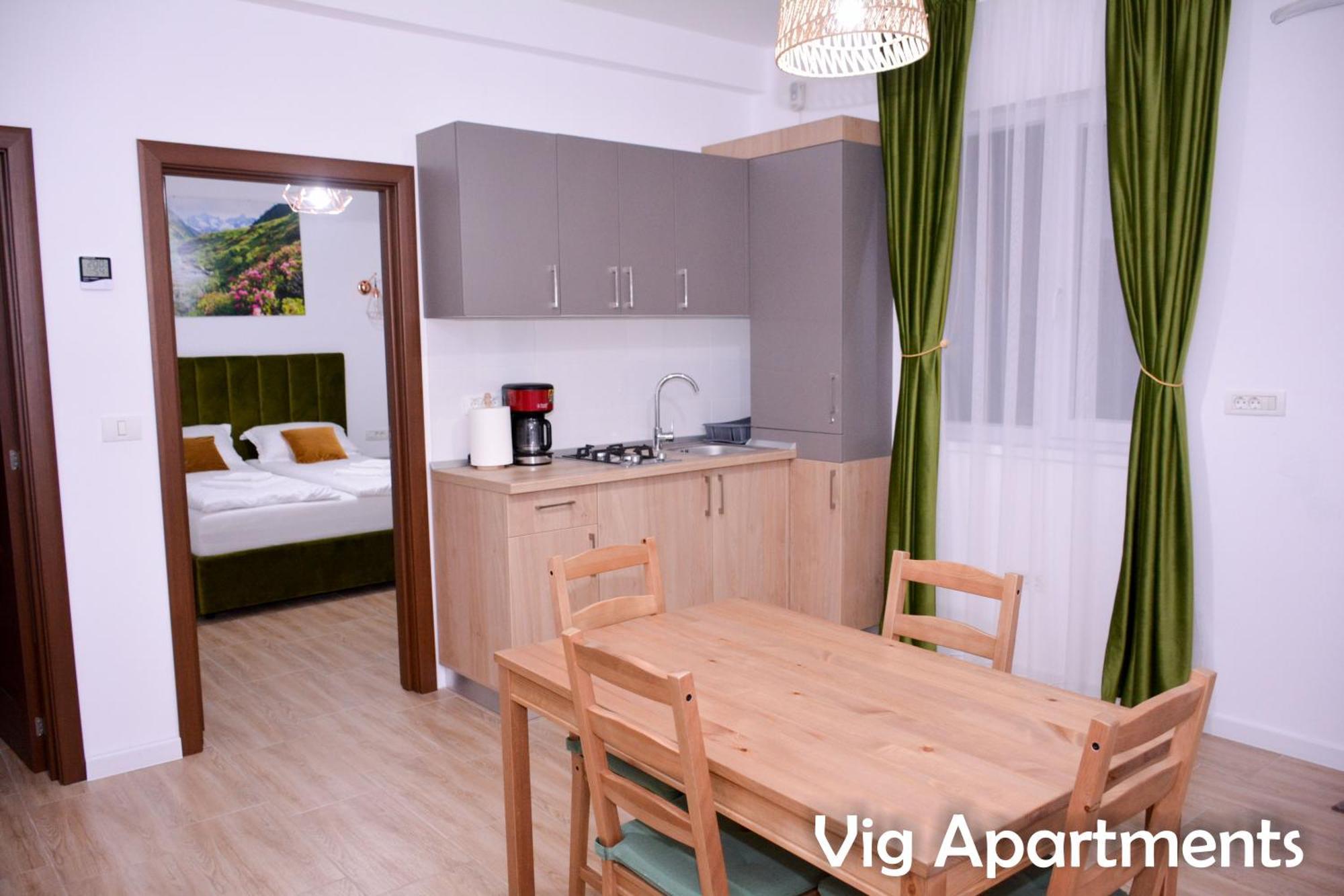 Vig Apartments Тімішоара Екстер'єр фото