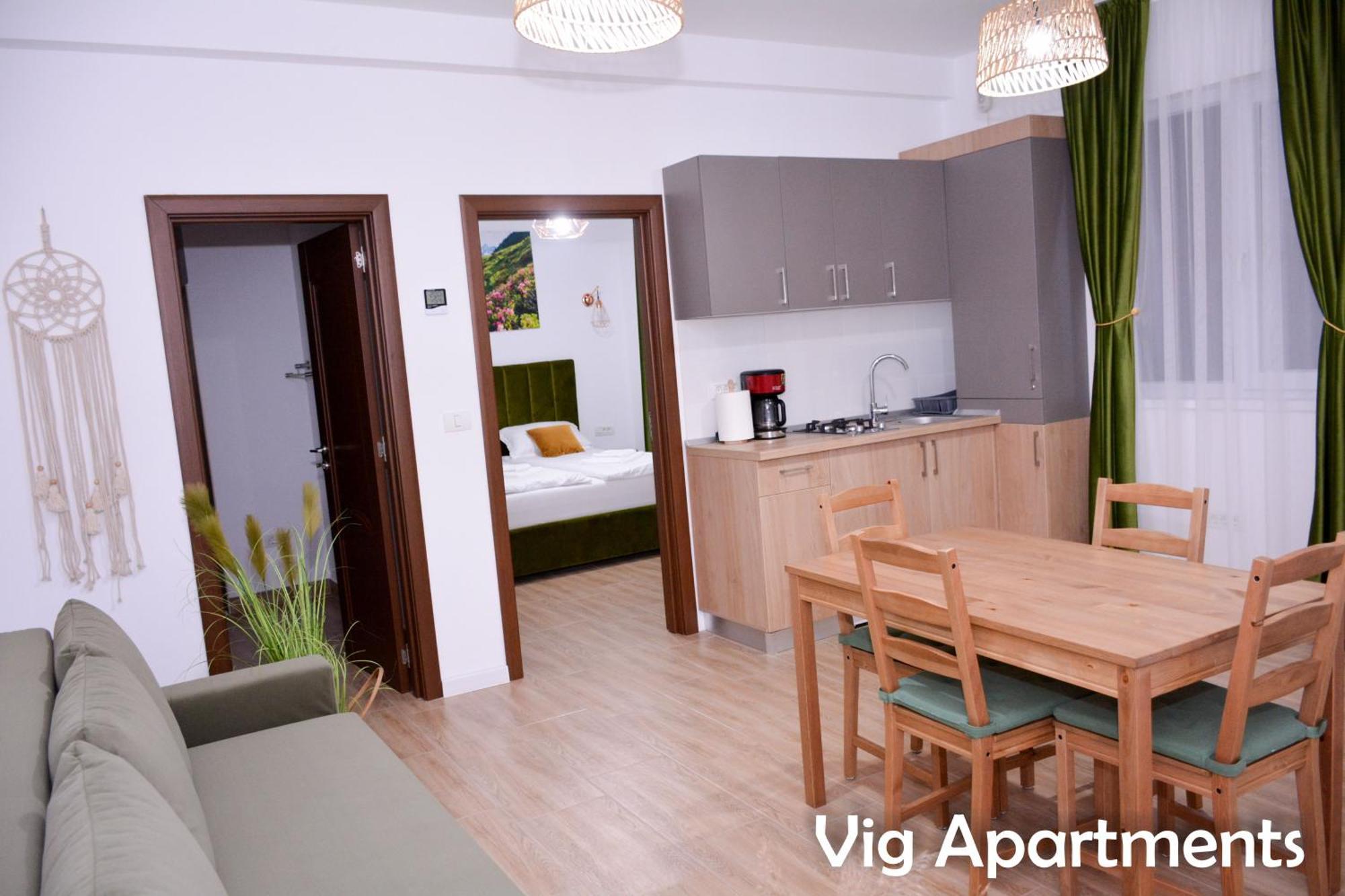 Vig Apartments Тімішоара Екстер'єр фото