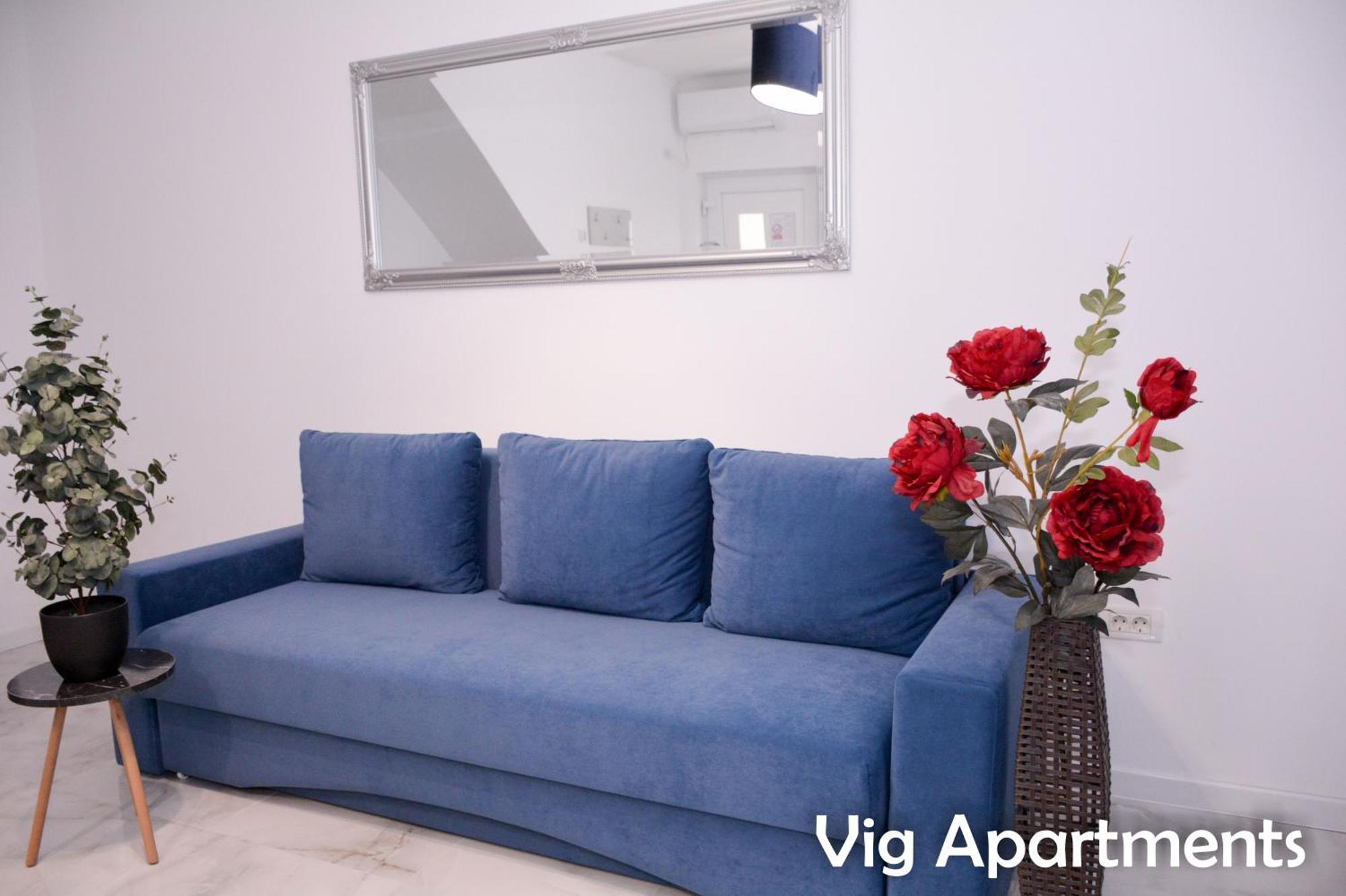 Vig Apartments Тімішоара Екстер'єр фото